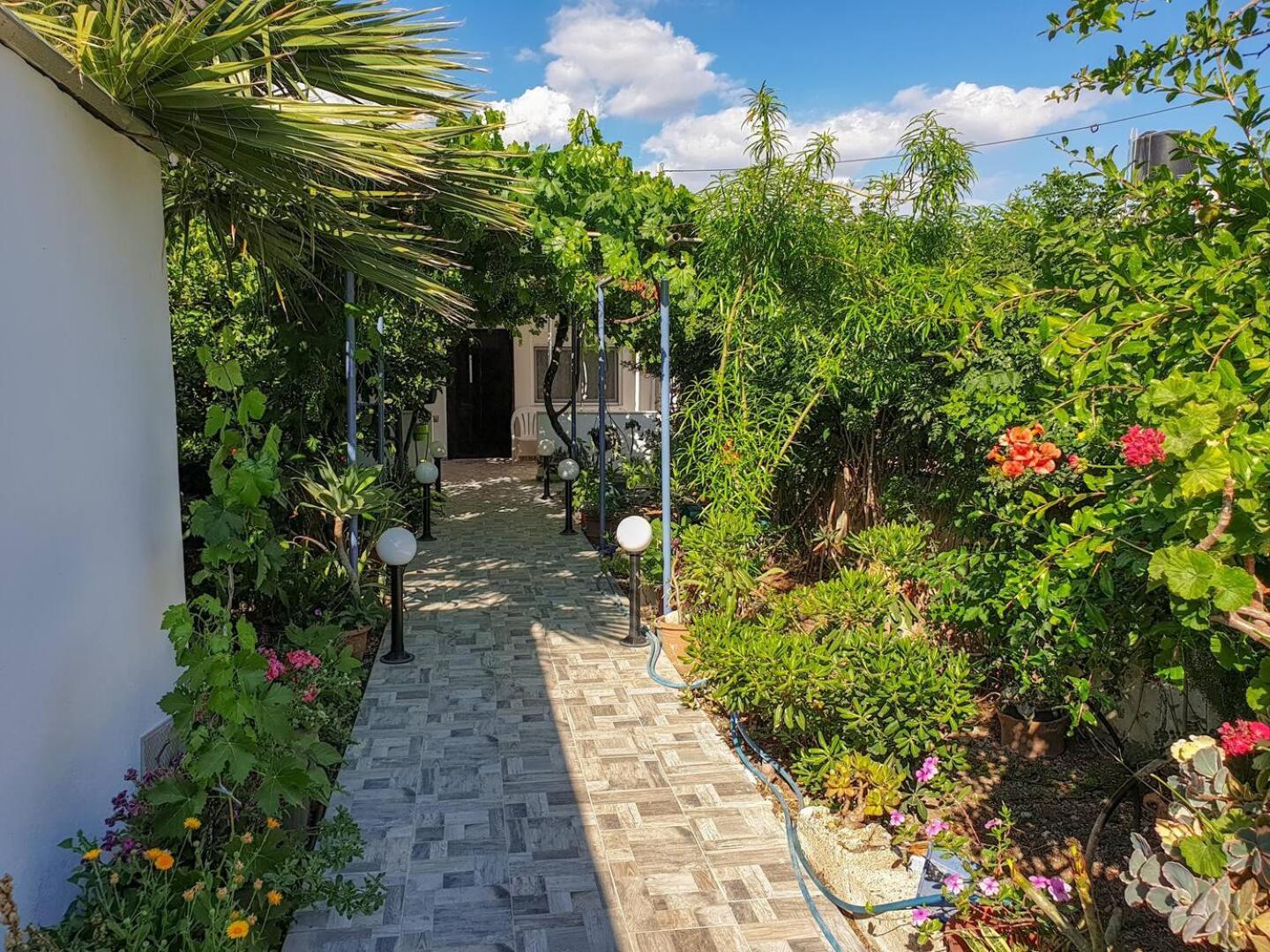 Maria'S House, With Garden Βίλα Καλαμάκι Εξωτερικό φωτογραφία